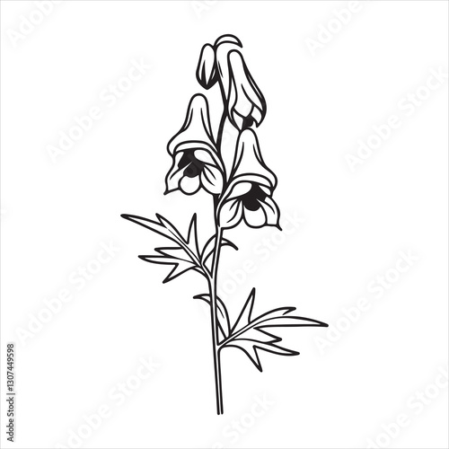 Aconite Flower – Enchanting yet Deadly