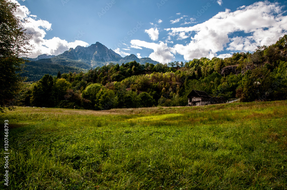 Fototapeta premium Cascate e vedute Fondo Toce