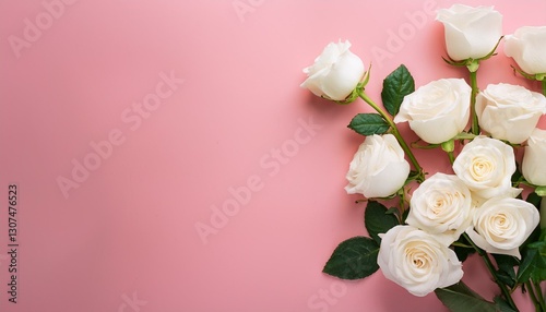 Wallpaper Mural white roses on soft pink color background Torontodigital.ca
