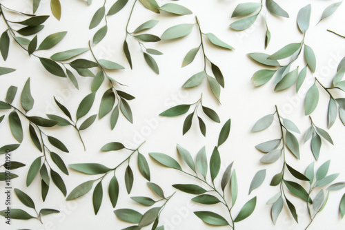 Wallpaper Mural Abstract Botanical Silhouettes of Tree Leaves on White Torontodigital.ca