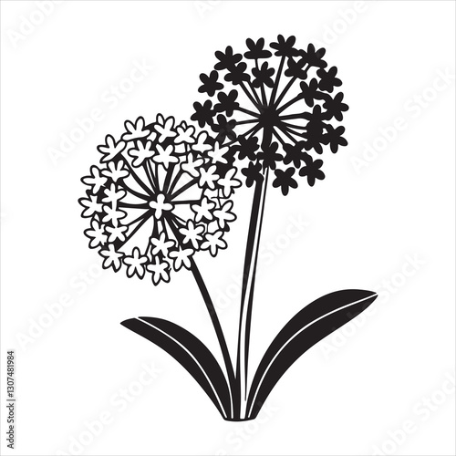 Allium Flowers – Vibrant Globes of Beauty