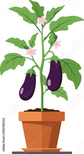 A vibrant eggplant plant with purple fruits and green leaves in a terracotta pot, featuring a flat design style, perfect for vector art