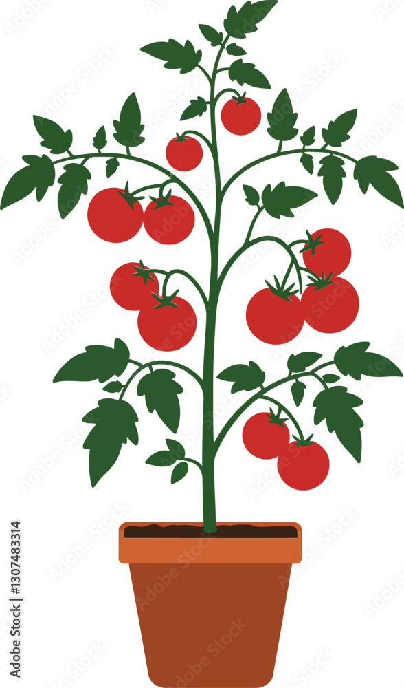 Tomato plant in a terracotta pot designed in a minimal style with vibrant red fruits showcasing growth and vitality in vector art
