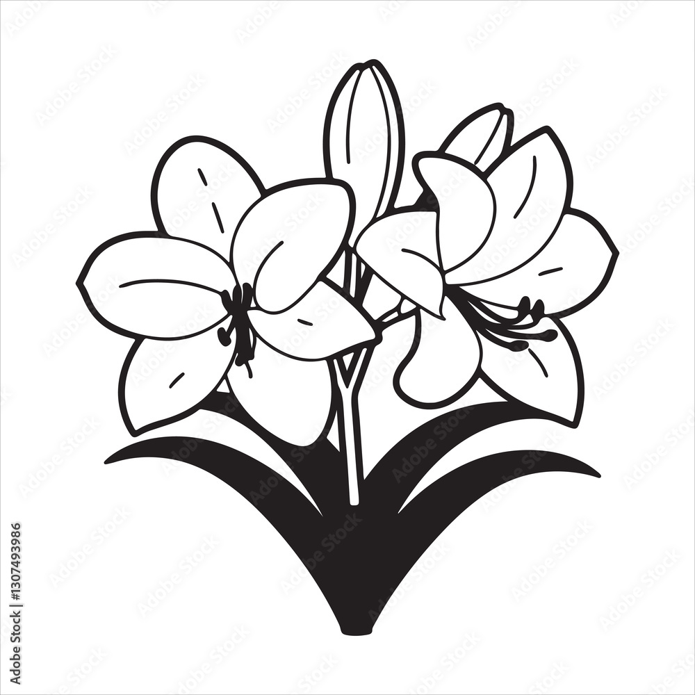 Obraz premium Amaryllis Flower – Bold and Beautiful