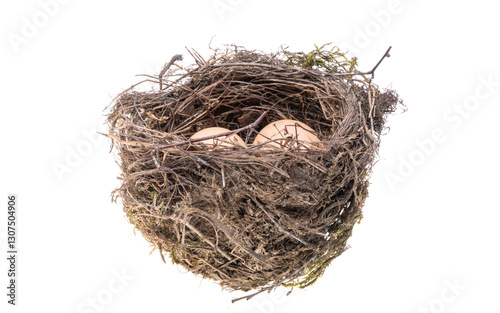 bird nest isolated