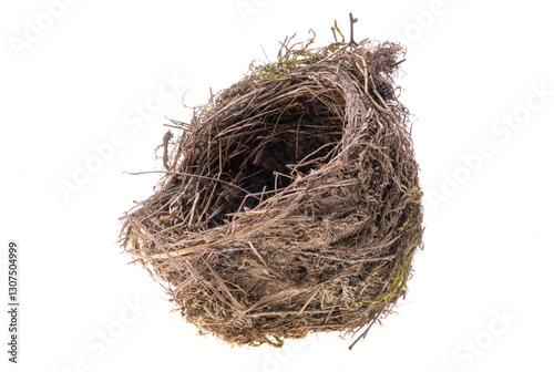 Obraz na płótnie bird nest isolated w salonie
