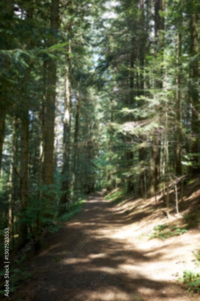 Naklejka premium Atmospheric blurred photo of a forest landscape with a path going deep into the forest. The blurred background creates a sense of movement and emphasizes the focus on the path.