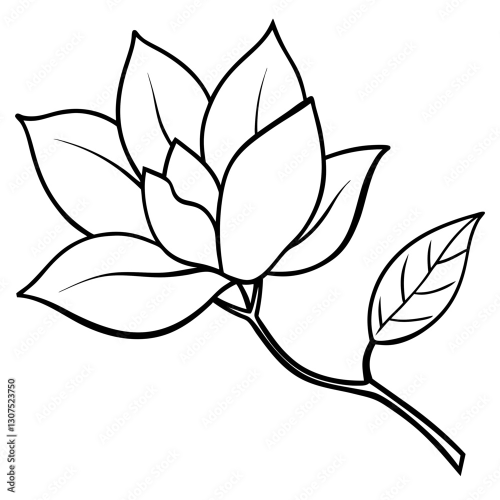 Fototapeta premium lotus flower vector