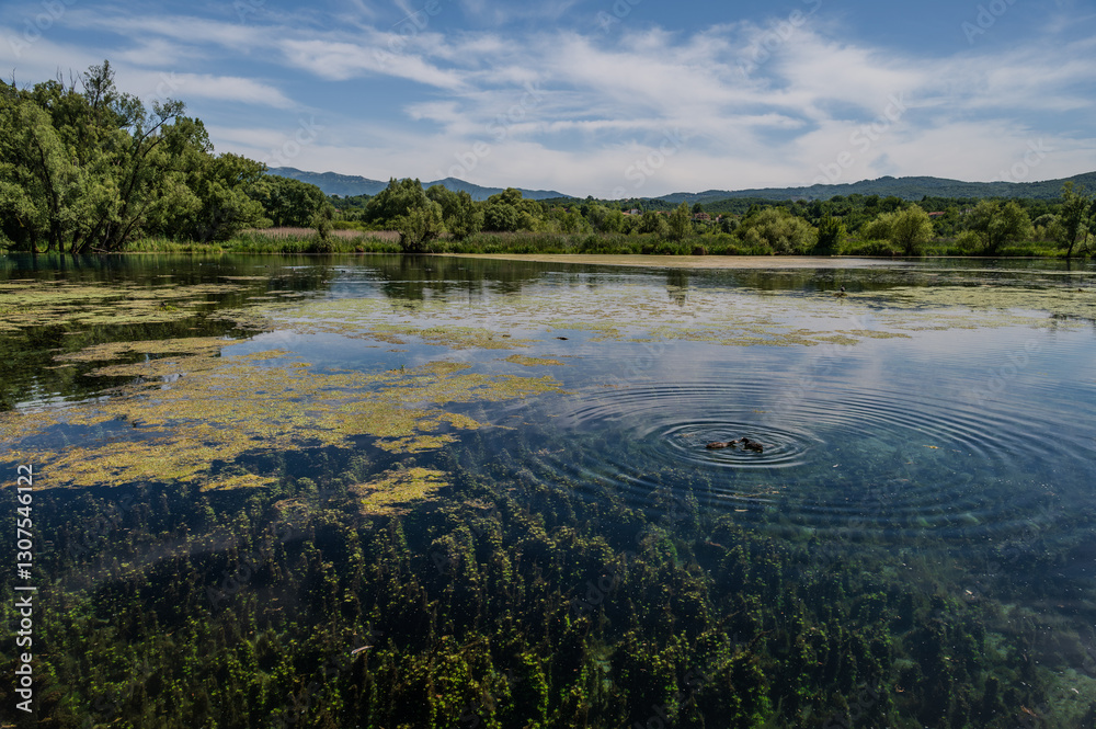 Fototapeta premium Posta Fibreno lake nature reserve, Frosinone, Italy