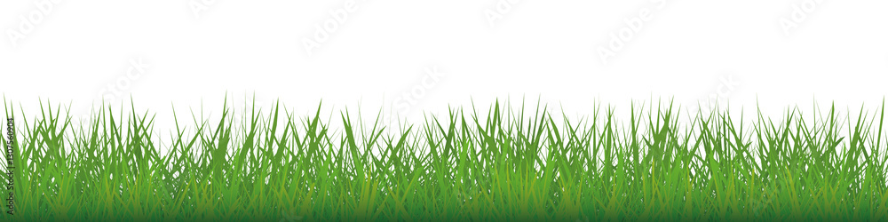 Bright green grass patern isolated on transparent background Bright green grass patern isolated on transparent background