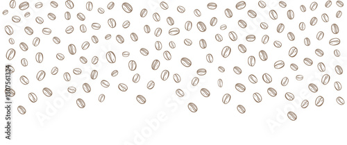 vector illustration of coffee bean background on white background. sketch of coffee beans. Hand drawn coffee beans vector.