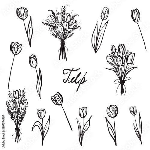 Spring tulip flower, bouquet and leaves in brush stroke texture. Hand drawn vector sketch illustration in vintage charcoal ink style. Greeting card design, invitation, floral store logo design