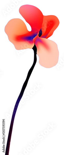 PNG Flower background colorful colors. photo