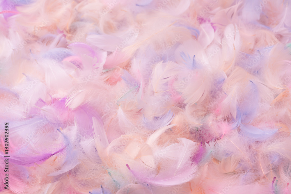 Fototapeta premium Colorful feather background, top view.
