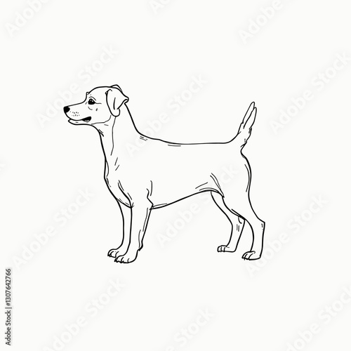 Standing dog in profile with a confident expression on a minimalistic background