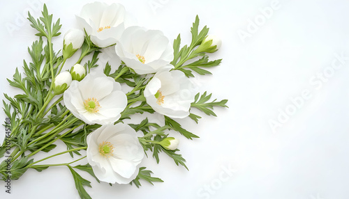 Delicate white blossoms arranged on white background; ideal for wedding stationery or greeting cards