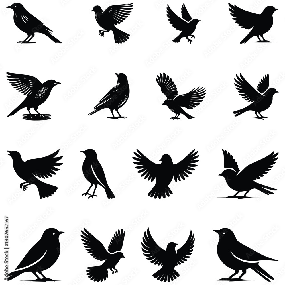 collection of birds