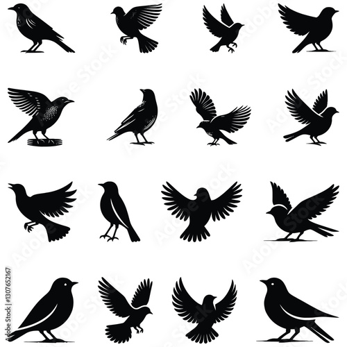 collection of birds