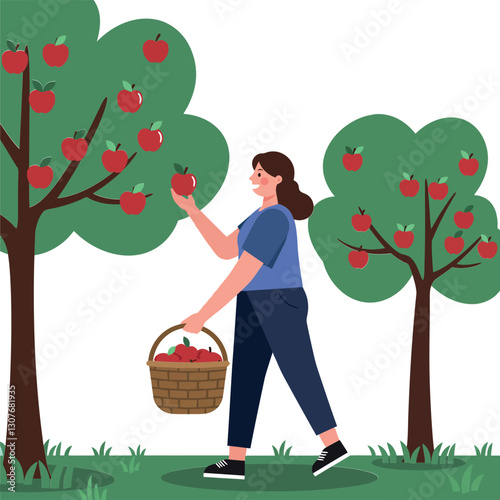 Woman picking red apples from trees in a lush orchard, flat vector illustration