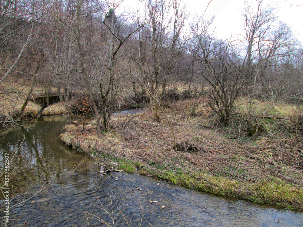 Fototapeta premium A beautiful river meander in early spring, with bare trees and water reflections