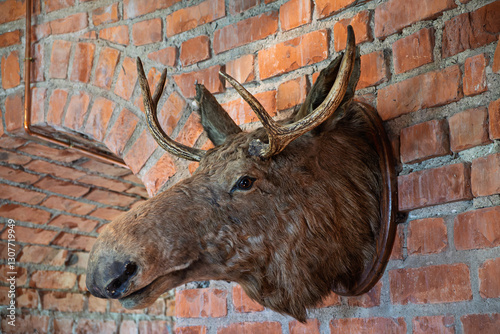 A taxidermy moose head with antlers mounted on a rustic red brick wall, creating a classic hunting lodge atmosphere.  