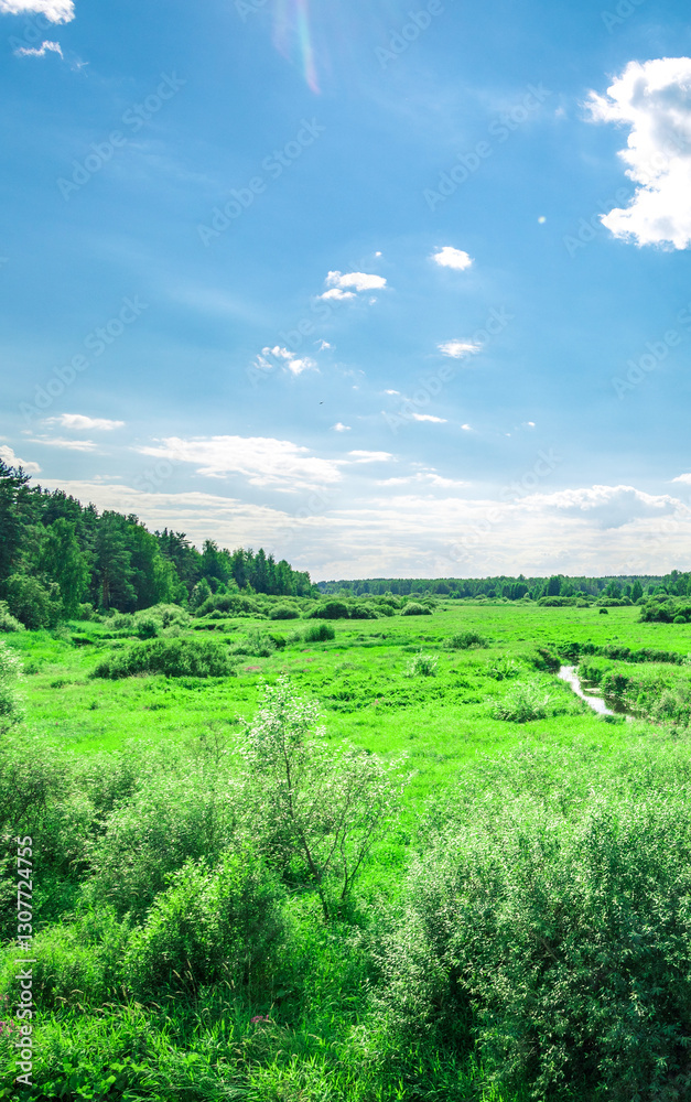 Obraz premium Field of green grass with trees in the background