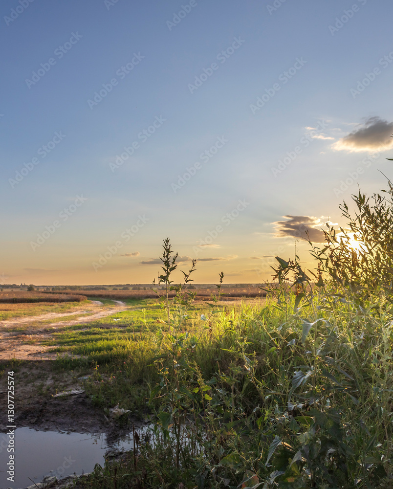 Obraz premium Field with a dirt road and a stream