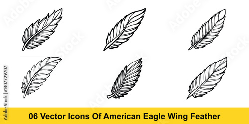 Vector Illustration Set of Detailed American Eagle Wing Feathers