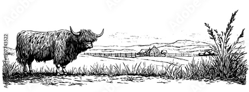 Rustic tranquility captured in an engraved illustration of a Highland cow near a quaint farmhouse