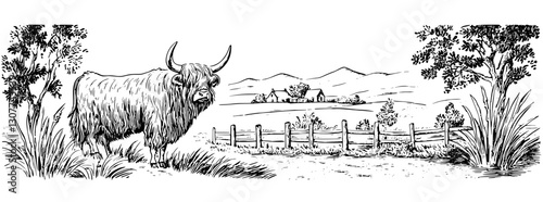 Engraved illustration of a highland cow grazing near a quaint farmhouse surrounded by rolling hills and wooden fence
