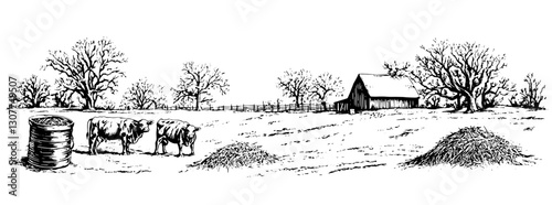 Engraved illustration of a serene countryside with cows grazing near a rustic barn in the winter light