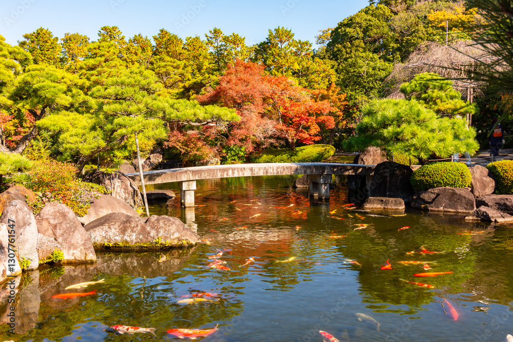 Naklejka premium Carps in pond of Koko-en gardens, Himeji, Japan