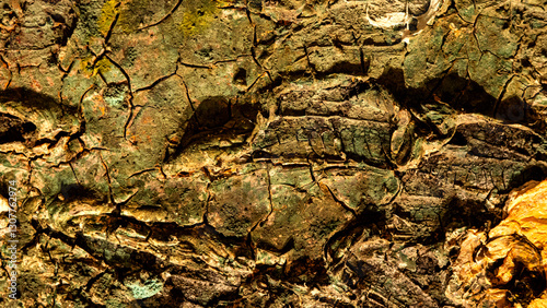 Texture of greenish paint in different shades of colour