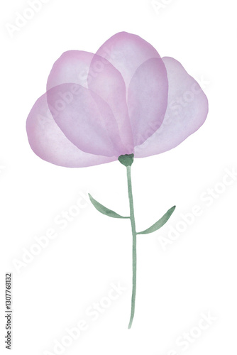Fototapeta Naklejka Na Ścianę i Meble -  Purple watercolor flower isolated on white background
