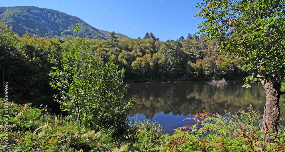 Located in Yalova, Turkey, Dipsiz Lake is one of the protected areas of the region. Located in Yalova, Turkey, Dipsiz Lake is one of the protected areas of the region.