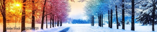 seasonal changes represented in trees