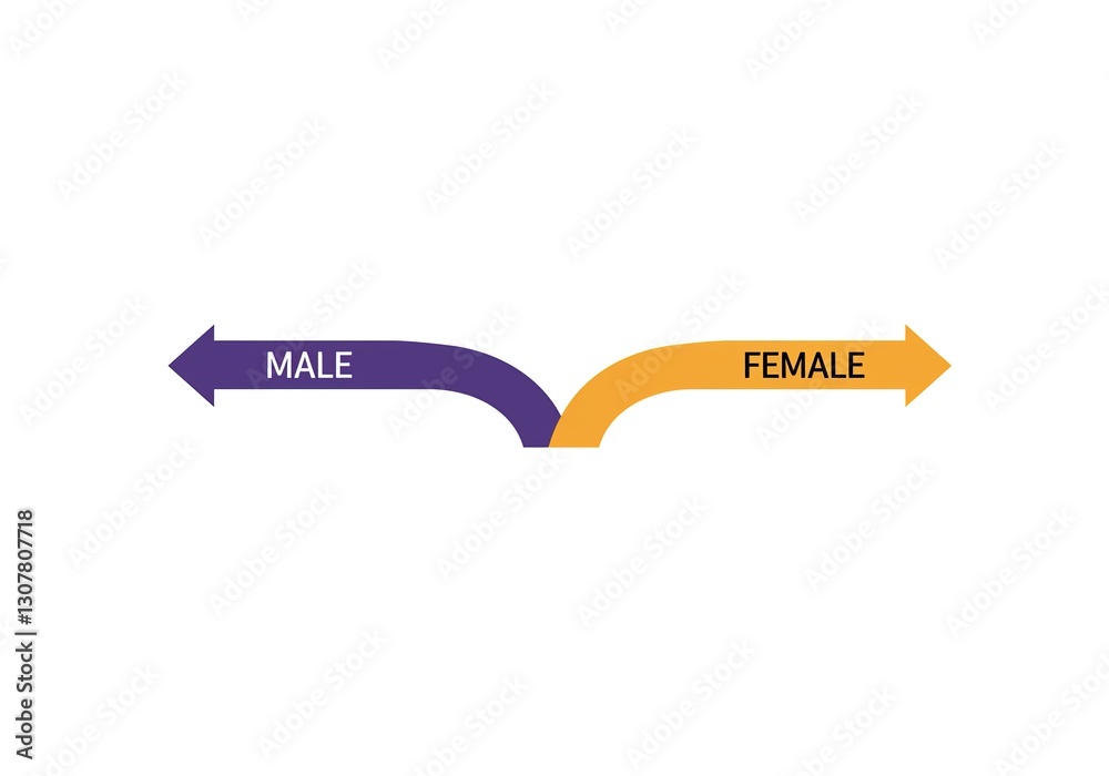 Gender Flow Diagram - Male and Female Curved Arrows on White Background.
Gender Flow Diagram - Male and Female Curved Arrows on White Background.