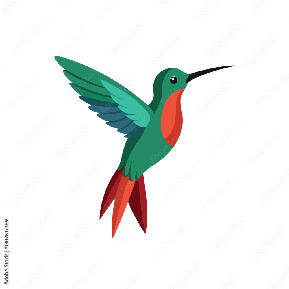 Fototapeta premium hummingbird on white background