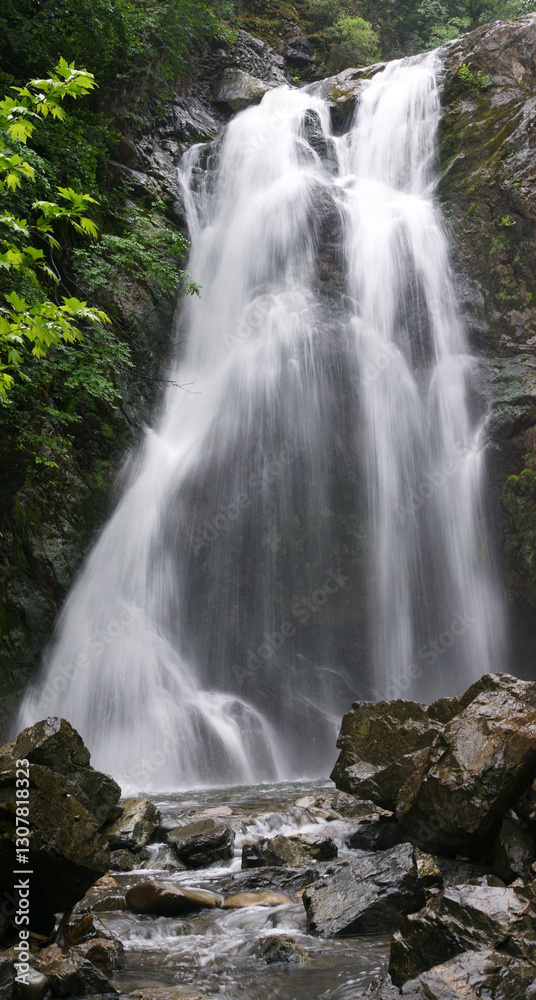 Fototapeta premium Located in Yalova, Turkey, Sudusen Waterfall is one of the protected areas of the region.