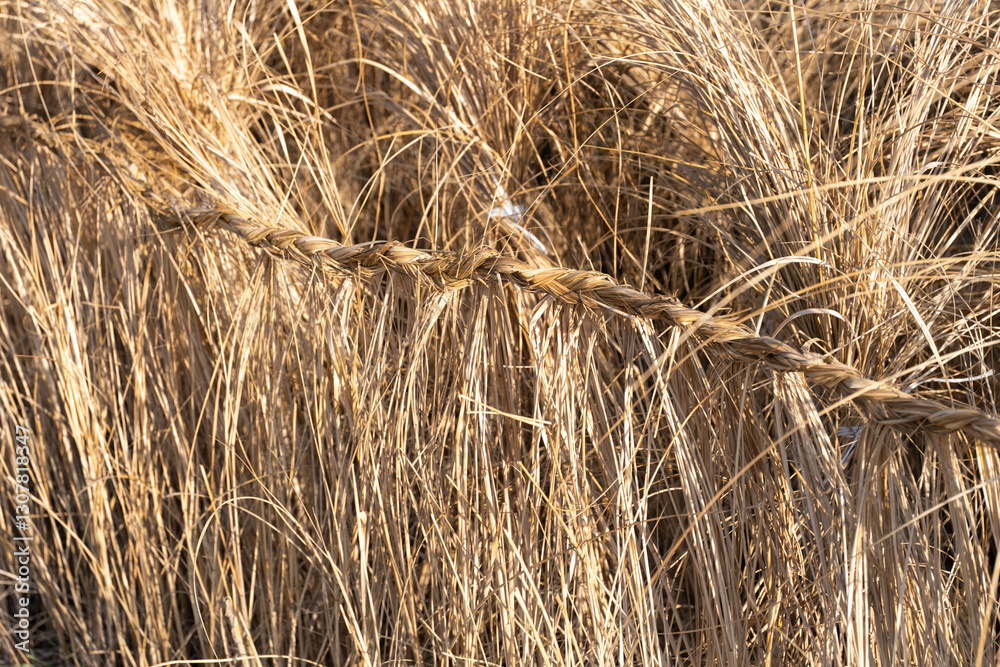 A macro close-up of intertwined dry straw, showing intricate details and warm golden hues. A macro close-up of intertwined dry straw, showing intricate details and warm golden hues.