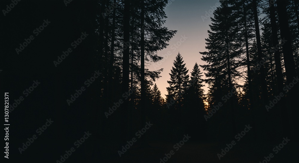 Dark silhouette of tall evergreen trees against a twilight sky gradually transitioning from deep blue to soft orange, symbolizing the serene end of the day Dark silhouette of tall evergreen trees against a twilight sky gradually transitioning from deep blue to soft orange, symbolizing the serene end of the day