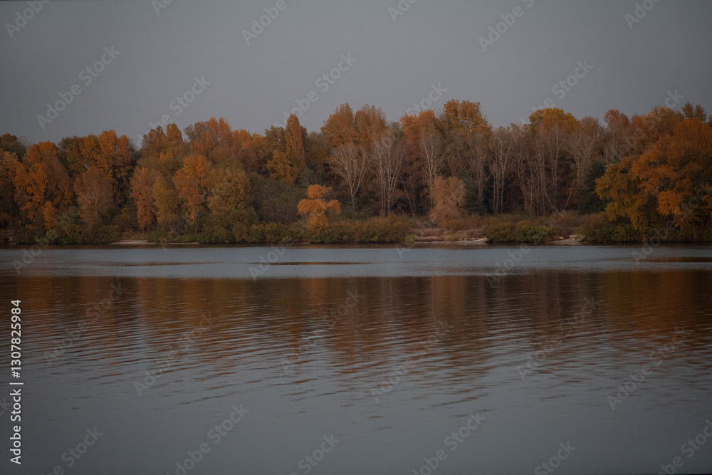The calm water of the river beautifully mirrors the orange and yellow hues of autumn foliage on the nearby trees during evening hours, creating a serene landscape The calm water of the river beautifully mirrors the orange and yellow hues of autumn foliage on the nearby trees during evening hours, creating a serene landscape