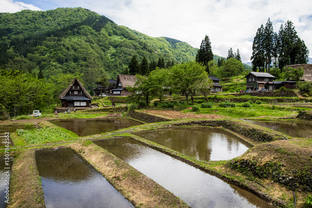 Obraz premium A traditional thatched village in Japan.