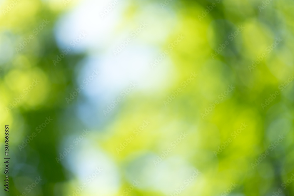 Blurred green leaves and shining through it sunlight in spring forest. Nature background Blurred green leaves and shining through it sunlight in spring forest. Nature background