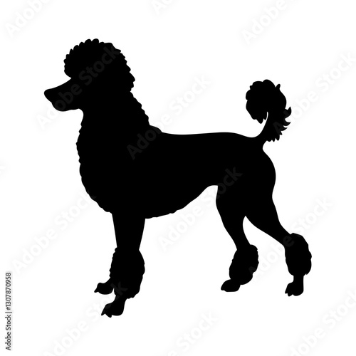 a black silhouette of a standard poodle, showcasing the elegant form of a dog, vector illustration