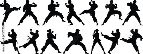 Kungfu silhouettes set, fighter pack of vector silhouette design, isolated background