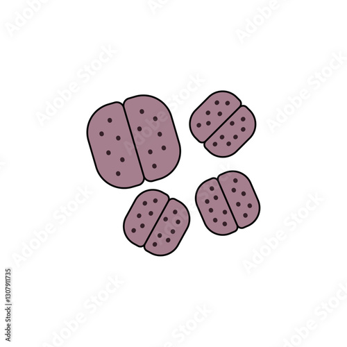 Meningococcus colored icon