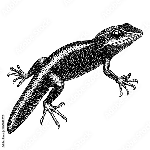 Engraved vector illustration of a unique lizard in dynamic pose suitable for artistic tattoo designs