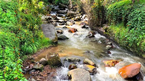Scenic Stream Flowing Over Mossy Rocks Amid Lush Greenery in the Andean Highlands