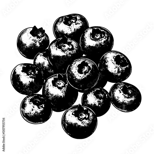 Engraved vector illustration of fresh blueberries clustered in a bountiful arrangement